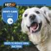 Picture of VETIQ 2 in 1 Gum Shield Spray 100ml x 1