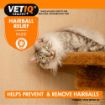 Picture of VETIQ Defurr-Um Cat Hairball Remedy 70g x 1