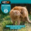 Picture of VETIQ Flea Guard Powder (Dog & Cat) 60g x 1
