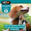 Picture of VETIQ Flea Guard Powder (Dog & Cat) 60g x 1
