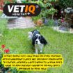 Picture of VETIQ Green-UM Lawn Burn Control 175 Tab x 1