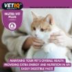 Picture of VETIQ Nutri-Vit Plus Paste - Cat & Kitten 70g x 1