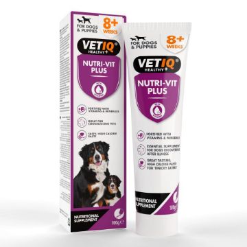 Picture of VETIQ Nutri-Vit Plus Paste - Dog & Puppy 100g x 1