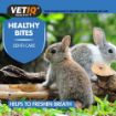 Picture of VETIQ Healthy Bites for Small Animals Dental 30g x 8