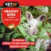 Picture of VETIQ Healthy Bites Small Animal Immunity-Care 30g x 12