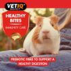 Picture of VETIQ Healthy Bites Small Animal Immunity-Care 30g x 12