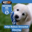 Picture of VETIQ Teething Gel for Dogs & Puppies 50g x 1