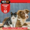 Picture of VETIQ Urinary Care Paste 100g x 1