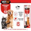 Picture of VETIQ Urinary Care Paste 100g x 1