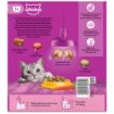 Picture of Whiskas 1+ Adult Cat Complete Chicken 800g x 5
