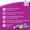 Picture of Whiskas Kitten & Junior Complete 7kg