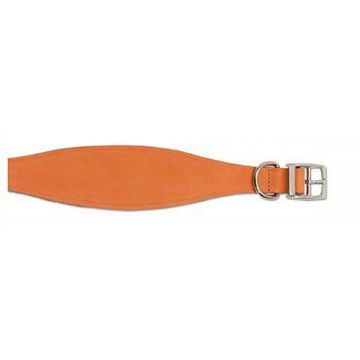 Picture of Ancol Whippet Collar Tan 14" x 1