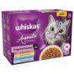 Picture of Whiskas Pouch 1+ Aromatic Fusion in Gravy 85g 12-Pack x 4