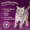 Picture of Whiskas Pouch 1+ Aromatic Fusion in Gravy 85g 12-Pack x 4