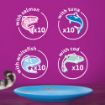 Picture of Whiskas Pouch 1+ Fish Favourites in Jelly 85g MEGA 40 Pack