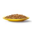 Picture of Whiskas Pouch 1+ Poultry Feasts Gravy 85g 12-Pack x 4