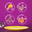 Picture of Whiskas Pouch 1+ Poultry Feasts Jelly 85g 12-Pack x 4