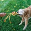 Picture of KONG Wubba Weaves with Rope - Large x 1