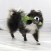 Picture of KONG Wubba Weaves - Small x 1