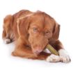 Picture of Yakers Dog Chew MINT XL x 10