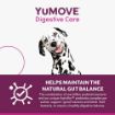 Picture of YuMOVE Digestive Care Plus+ 6-Sachet x 1