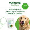 Picture of YuMOVE Joint Care Daily Bites for Senior Dogs 60pk x 1